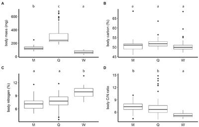 Ecological Stoichiometry of Bumblebee Castes, Sexes, and Age Groups